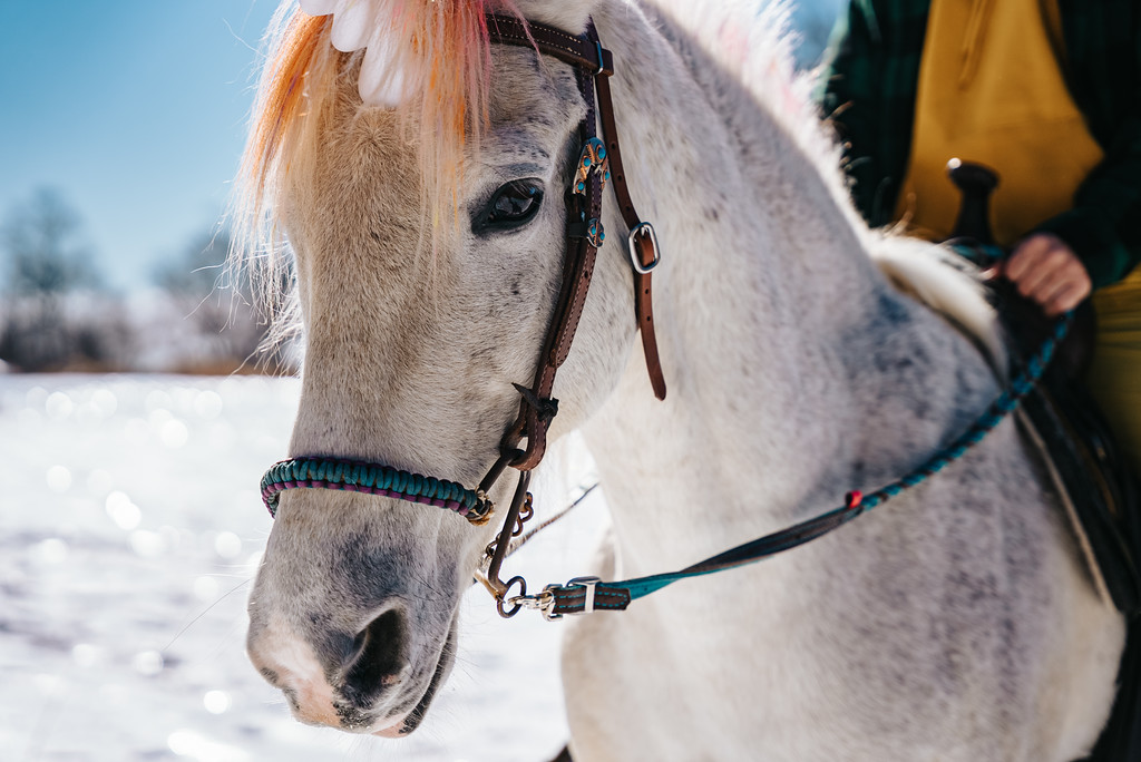 UNICORNY — portrait